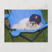 ソックス ポストカード (正面)