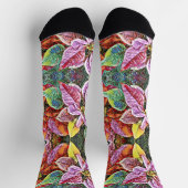 ソックス – SGポインセティアス (上部)