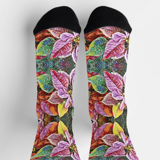 ソックス – SGポインセティアス (上部)