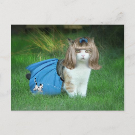 ソックホップの準備ができて! ポストカード (正面)