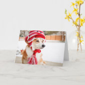 ソックモンキーハットコーギー blank グリーティングカード (黄色い花)