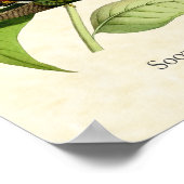 ソティキャップヘミットハミングバードアートプリント ポスター (角)