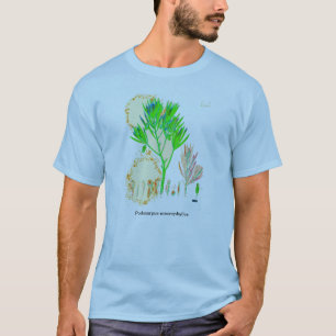 ソテツ類のマキのプリントのワイシャツ Tシャツ