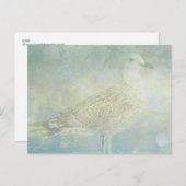 ソナタ島 ポストカード (正面/裏面)