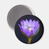 ソニアWIld マグネット (正面/裏面)