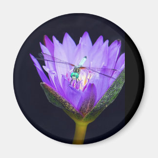 ソニアWIld マグネット