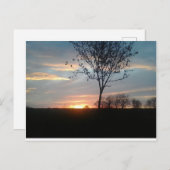 ソネナフガン ポストカード (正面/裏面)