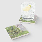 ソノマアレキサンダーバレーマーブルストーンコースター ストーンコースター (横)