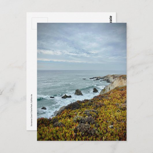 ソノマコースト州パーク，カリフォルニア ポストカード (正面/裏面)