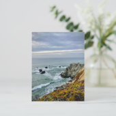 ソノマコースト州パーク，カリフォルニア ポストカード (スタンド正面)