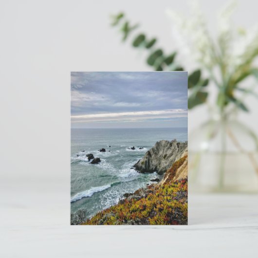 ソノマコースト州パーク,カリフォルニア ポストカード (スタンド正面)