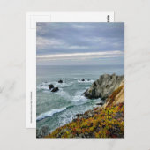 ソノマコースト州パーク，カリフォルニア ポストカード (正面/裏面)