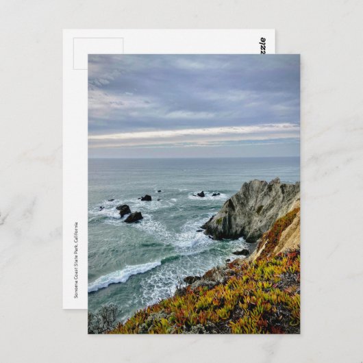 ソノマコースト州パーク，カリフォルニア ポストカード (正面/裏面)