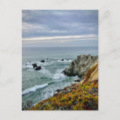 ソノマコースト州パーク，カリフォルニア ポストカード (正面)