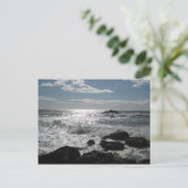 ソノマコースト、ボデガ、空白のカ。 ポストカード (スタンド正面)