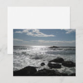 ソノマコースト、ボデガ、空白のカ。 ポストカード (正面/裏面)