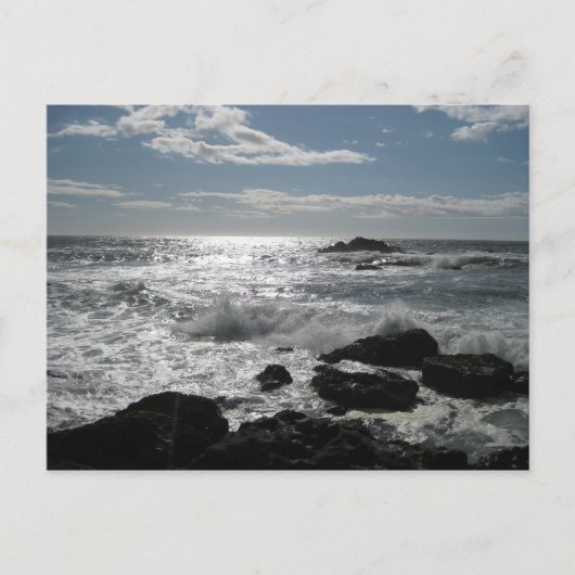 ソノマコースト、ボデガ、空白のカ。 ポストカード (正面)