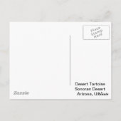 ソノランデセットカメ ポストカード (裏面)