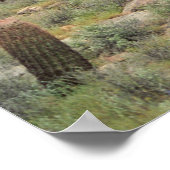 ソノラン砂漠の牧歌芸術プリント写真ポスター ポスター (角)