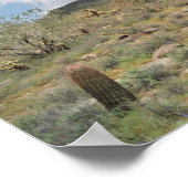 ソノラン砂漠の牧歌芸術プリント写真ポスター ポスター (角)