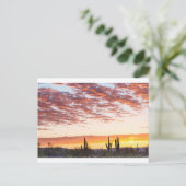 ソノラン砂漠カラフルサンライズモーニング ポストカード (スタンド正面)