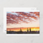 ソノラン砂漠カラフルサンライズモーニング ポストカード (正面/裏面)