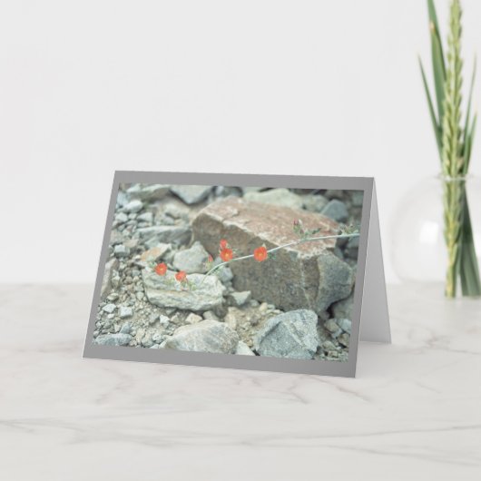 ソノラン砂漠グリーティングカードまたはノートカード カード (正面)