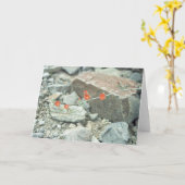 ソノラン砂漠グリーティングカードまたはノートカード カード (黄色い花)