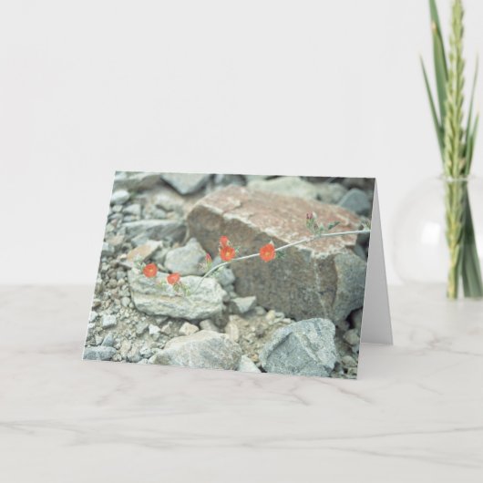 ソノラン砂漠グリーティングカードまたはノートカード カード (正面)