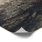 ソノラン砂漠シーン05ポスター ポスター (角)