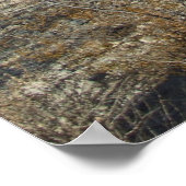 ソノラン砂漠シーン07ポスター ポスター (角)