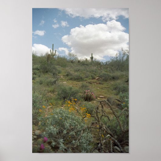 ソノラン砂漠春交響楽団プリントポスター ポスター (正面)