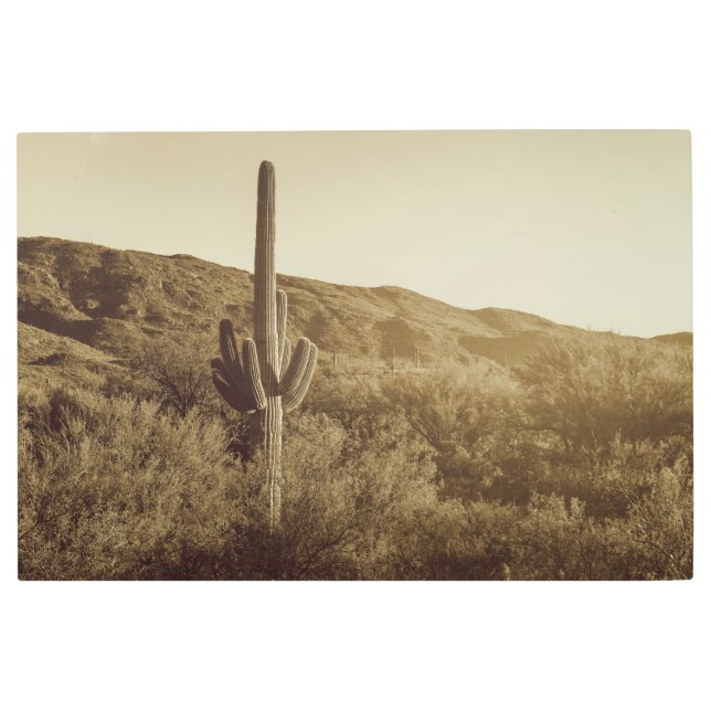 ソノラン砂漠 メタルプリント (正面)
