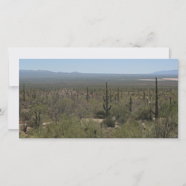 ソノラ砂漠博物館 (正面)