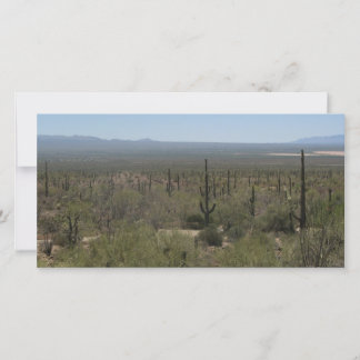 ソノラ砂漠博物館