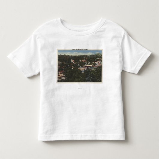 ソノラ、CaliforniaAerial ViewSonora、カリフォルニア トドラーTシャツ (正面)