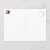 ソピースカメル ポストカード (裏面)