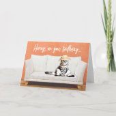 ソフおもしろいァに座ってサンハットを着た猫誕生日 カード (正面)