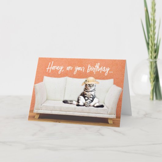ソフおもしろいァに座ってサンハットを着た猫誕生日 カード (正面)