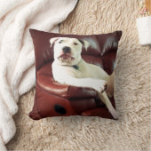 ソファおもしろいに座っている白いピットブルドッグ クッション (ブランケット)