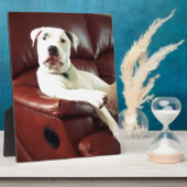 ソファおもしろいに座っている白いピットブルドッグ フォトプラーク (側面)