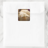 ソファかわいらしに寝そべっている黄色いタビ猫。 スクエアシール (バッグ)