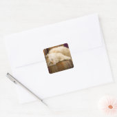 ソファかわいらしに寝そべっている黄色いタビ猫。 スクエアシール (封筒)