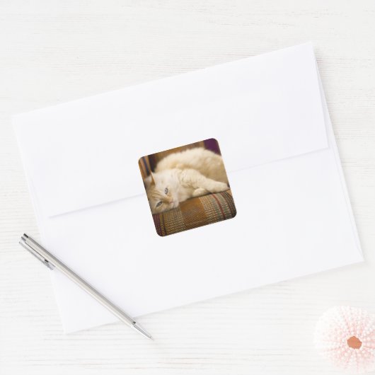 ソファかわいらしに寝そべっている黄色いタビ猫。 スクエアシール (封筒)