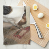 ソファでリラックスしているシャム猫 キッチンタオル (四つ折り)