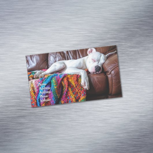 ソファで寝るペットの座る仕事犬 マグネット名刺 (インサイチュ)