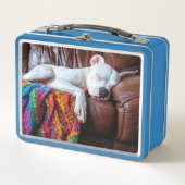 ソファで寝るペットの座る仕事犬 メタルランチボックス (正面)