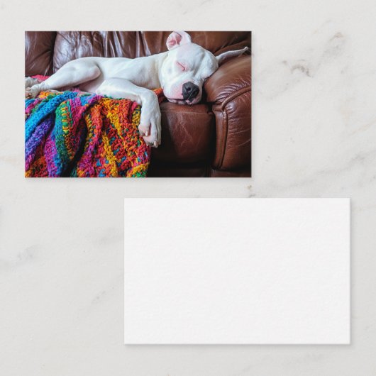 ソファで寝るペットの座る仕事犬 名刺 (正面/裏面)