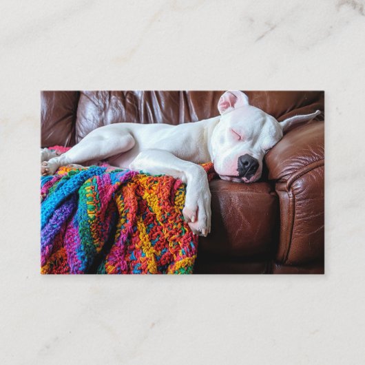 ソファで寝るペットの座る仕事犬 名刺 (正面)