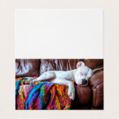 ソファで寝るペットの座る仕事犬 名刺 (外部フラット)